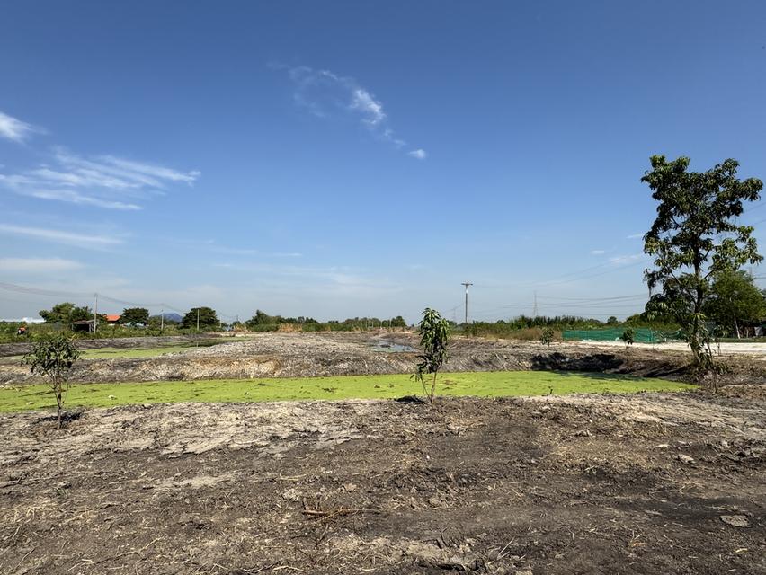 ขายที่ดิน 5 ไร่ ลำลูกกา คลอง 12 ทำเลดี ติดแหล่งชุมชน 2