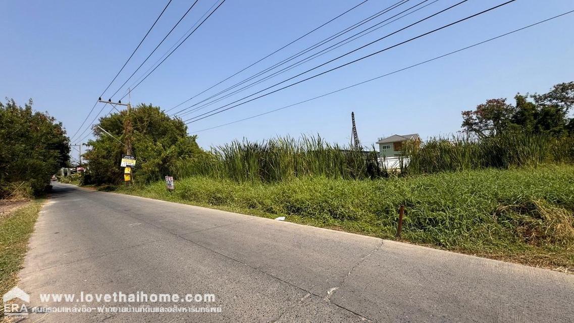 ขายที่ดิน ถนนรังสิต-นครนายก17 พื้นที่ 100 ตรว. ใกล้ห้างฟิวเจอร์พาร์ค รังสิต แปลงสวย ราคาถูกในย่านนั้น 3