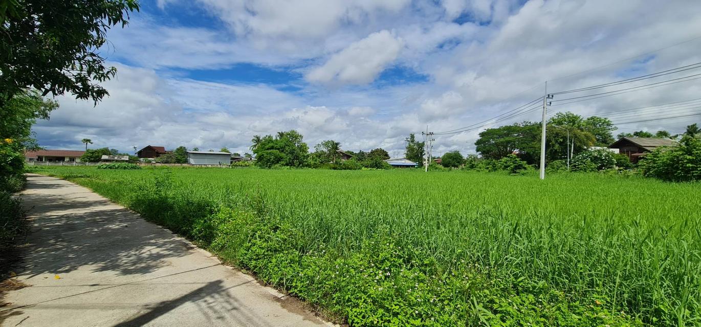 ที่ดิน  แปลงหัวมุม อ.บ้านธิ จ.ลำพูน 7