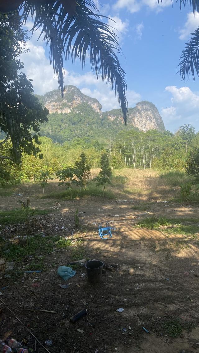 ขายที่ดิน20ไร่โฉนดมีสวนทุเรียนที่ดินติดคลองศก 3