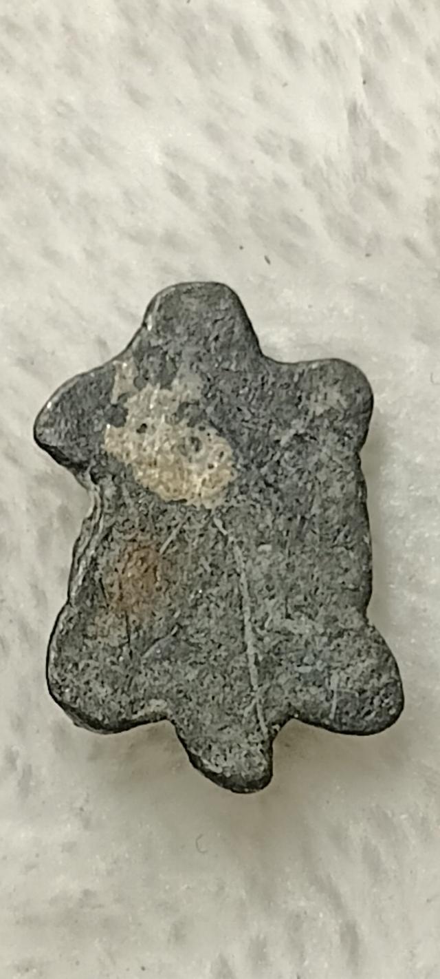 พญาเต่าเรือนหลวงปู่สุข รูปที่ 2