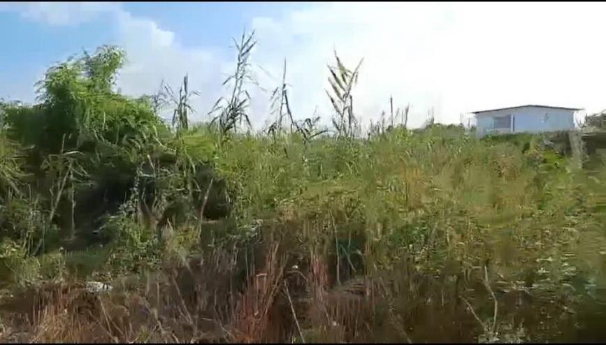 ขายที่ดินซอยวัดลาดปลาดุก 10 ไร่ 2