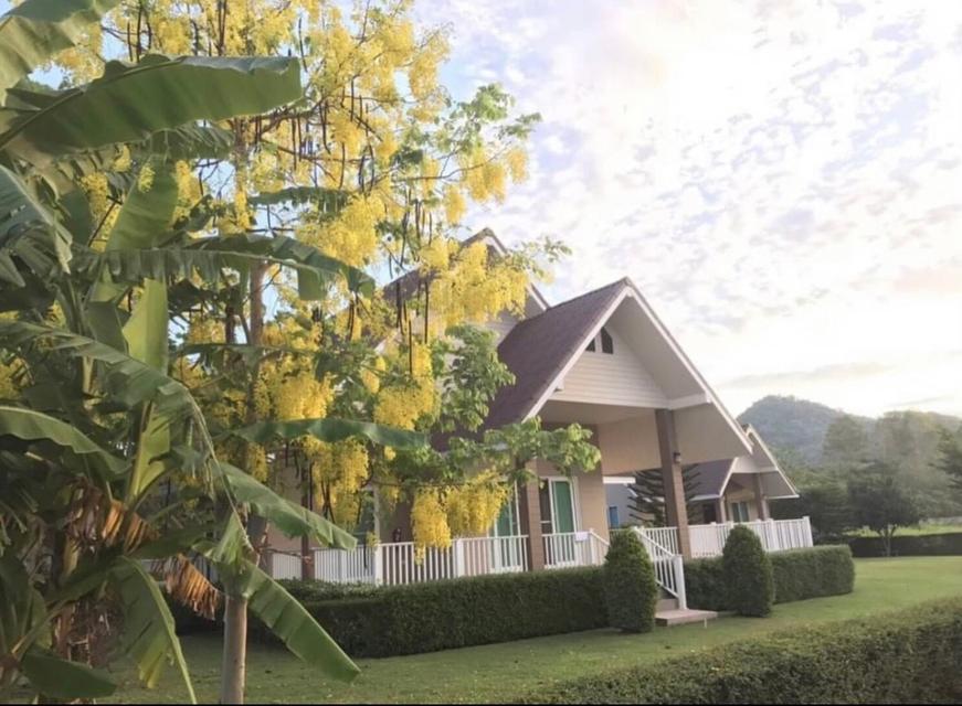 บ้านเดี่ยวเขาใหญ่เนื้อที่ 297 ตารางวา 1