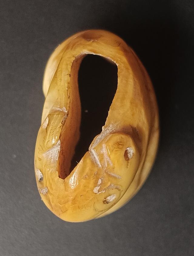 เสือหลวงพ่อปาน วัดบางเหี้ย 5