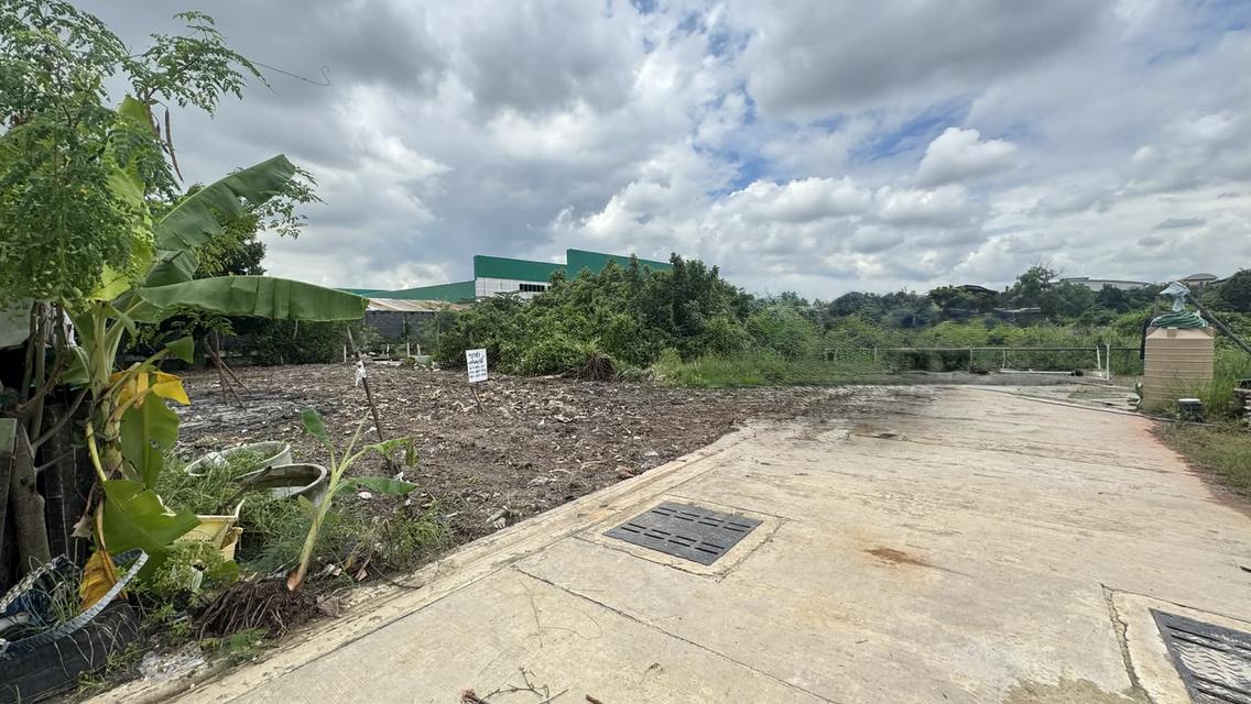 ขายที่ดิน 67.8 ตรว สุขสวัสดิ์ 78 ซอยวัดชังเรือง คู่สร้าง-คู่สม โครงการ3 ซอย 4/3 ราคาถูก ใกล้ตลาดคู่สร้าง 2