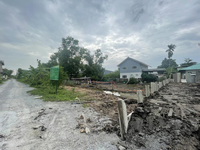 📌 ที่ดินสวย ปทุม "ใกล้เส้น 345" เจ้าของขายเอง! 3