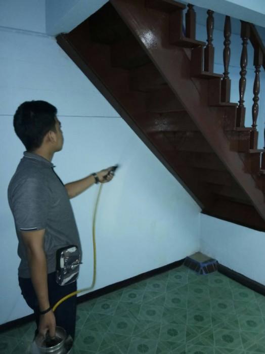 บริการกำจัด ปลวก มล แมลง ยุง หนู ครบวงจร 6