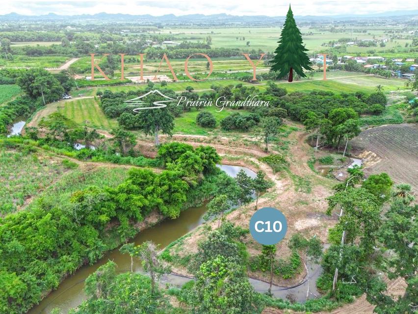 บรรยากาศเขาใหญ่ ปากช่อง #ติดลำธาร  เพียง 7,500/ตรว. ผ่อน12งวด #ฟรีดอกเบี้ย 12