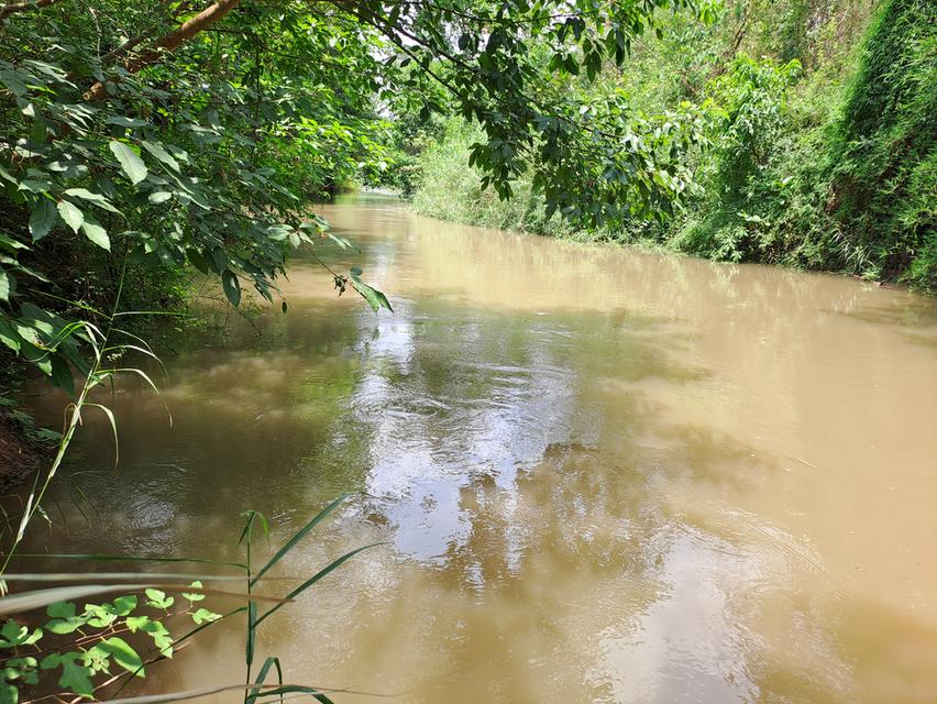 ที่ดินเปล่า จ.ลพบุรี อ.ลำสนธิ 11
