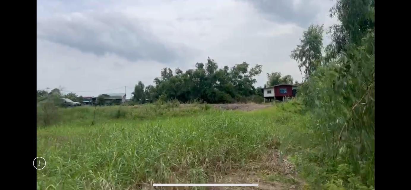 ที่ดินเปล่า ริมน้ำ 3ไร่ 2งาน สองพี่น้อง สุพรรณบุรี 10
