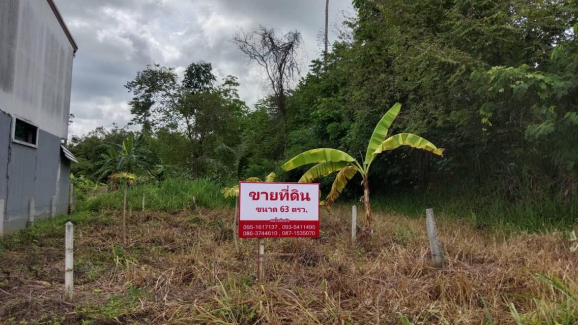 ขายที่ดินจังหวัดกระบี่ 1