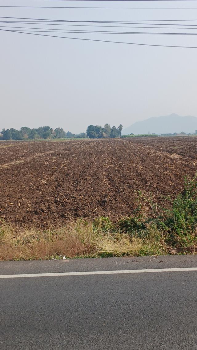 ที่ดิน 5ไร่ ในอ.ตากฟ้า 3