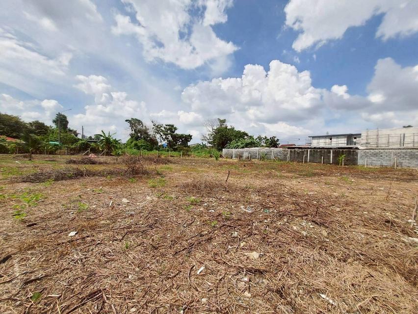 ขายด่วน ที่ดินพุทธมณฑลสายสาม 360 ตารางวา ถมแล้วทั้งแปลง ซอย 19 แยก 6-12 เขตทวีวัฒนา กทม. 6