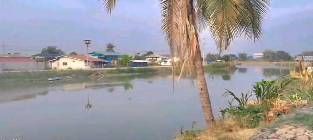 ให้เช่าห้องพักรายวัน รายเดือน ติดแม่น้ำท่าจีน ต บางปลา บางเลน นครปฐม 5