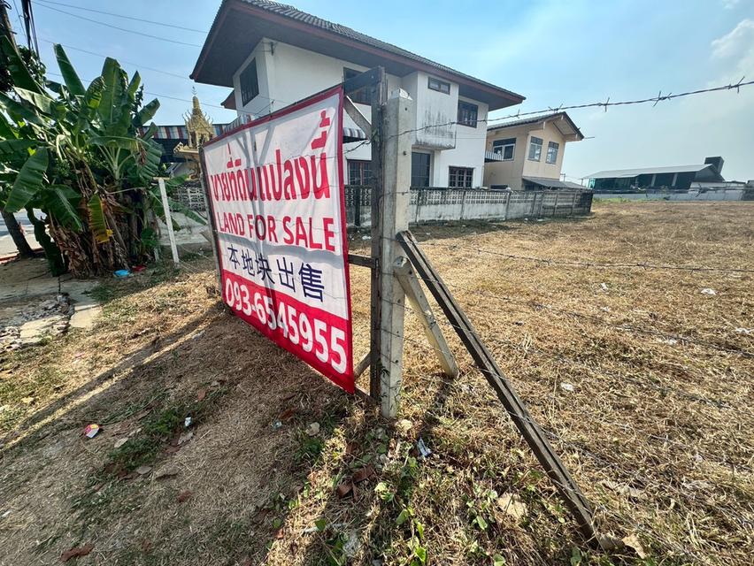 ขายที่ดินเปล่า แปลงสวย ทำเลดี ย่านบางบอน 4 12