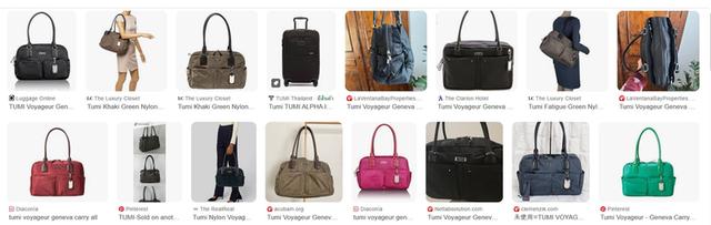 Tumi Voyageure Geneva Carry All 15