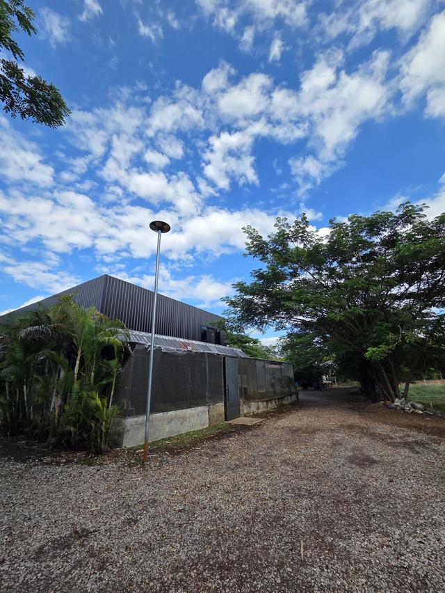 ขายที่ดิน 14 ไร่ แบ่งแปลงแล้ว สามพร้าว 1