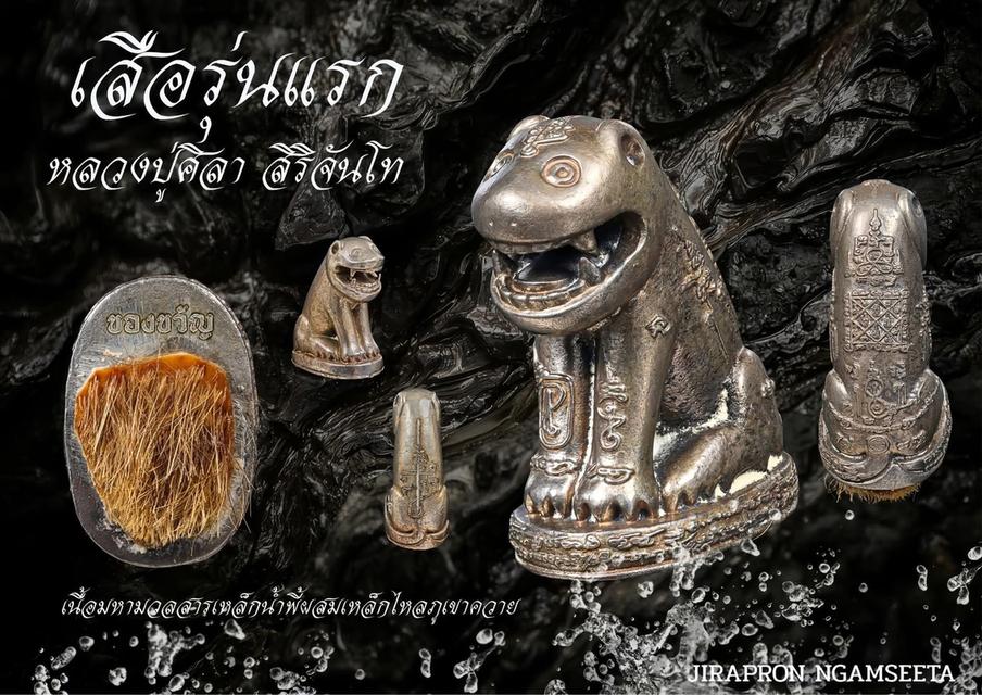 ของขลัง เสือรุ่นแรก 12
