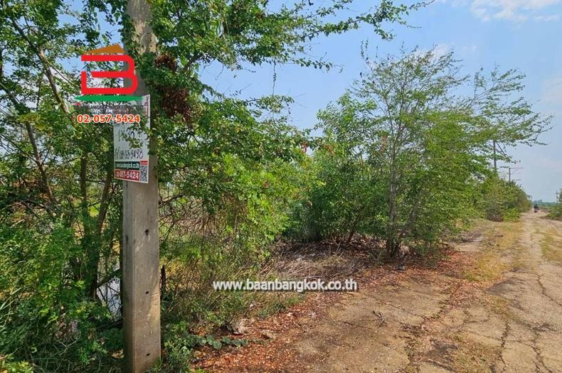 ที่ดินเปล่า หมู่บ้าน อริสรา ลาดบัวหลวง เนื้อที่ 1-0-35 ไร่ ถนนบางบัวทอง-สุพรรณบุรี อ.ลาดบัวหลวง จ.อยุธยา 7