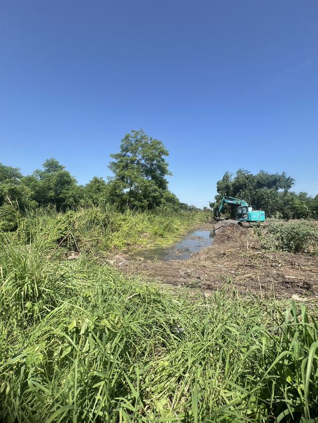 ที่ดินเปล่า ติดถนน ตำบลพืชอุดม อำเภอลำลูกกา จังหวัดปทุมธานี 6
