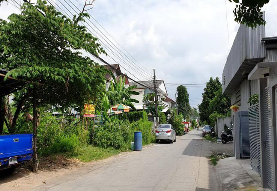 ขายที่ดิน คลองกุ่มนิเวศน์ ซอยเสรีไทย 41 ถนนเสรีไทย เขตบางกะปิ กรุงเทพมหานคร 6