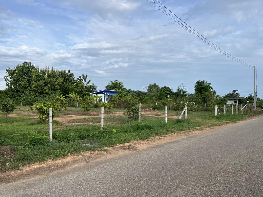 ขายที่ดินถมเเล้ว 1 ไร่ถ้วน 1