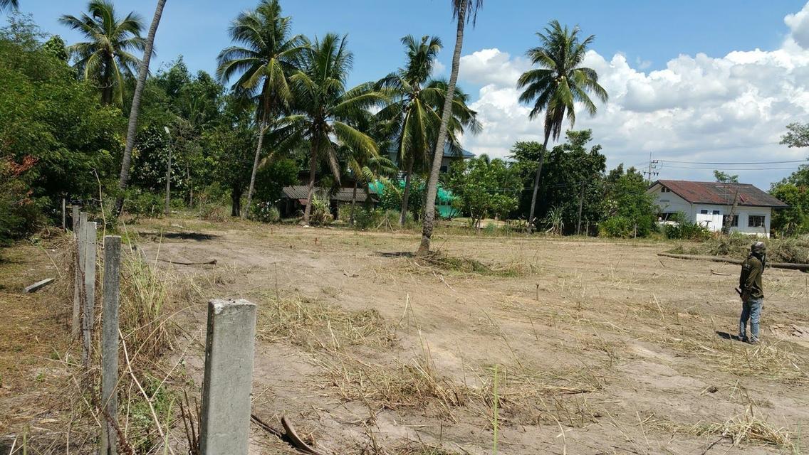 ที่ดินติดอ่างเก็บน้ำหนองค้อ 1ไร่ 3งาน 74ตรว 3