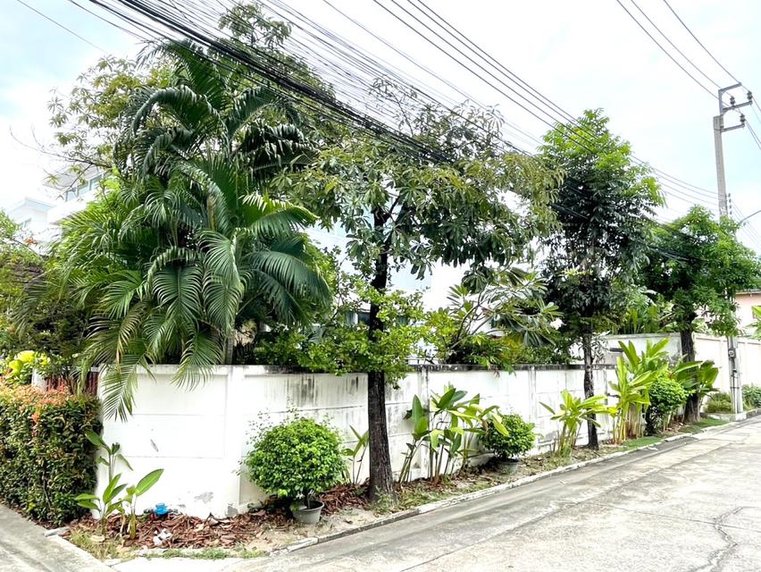 ขาย บ้านแฝด โครงการปัญฐิญา 3 ราชพฤกษ์–พระราม 5 ขนาด 49.7 ตร.ว. 128 ตร.ม. 3ห้องนอน 2ห้องน้ำ ทำเลศักยภาพ ใกล้รถไฟฟ้าสายสีม 6