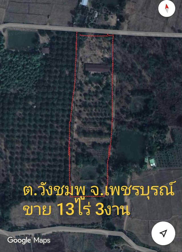 ที่ดินเพชรบูรณ์อำเภอเมือง 12