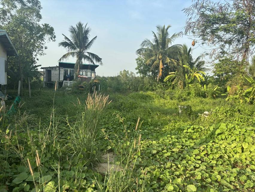 ขายที่ดินย่านคลองแปด ปทุมธานี เนื้อที่ 170 ตร.ว. 2
