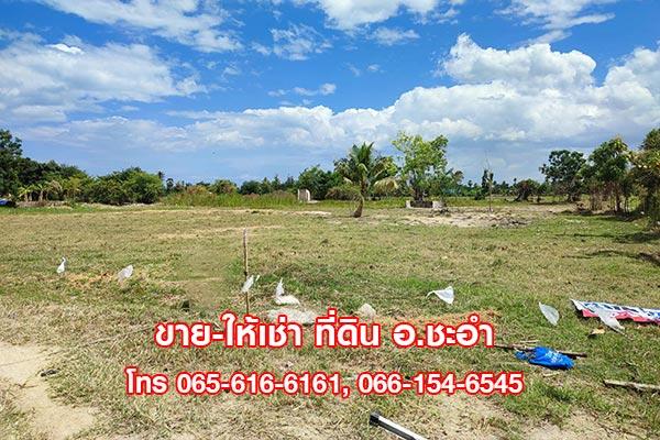 ขายที่ดินเปล่า 3 ไร่ ชะอำ เพชรบุรี ที่สวย ใกล้หัวหิน 2