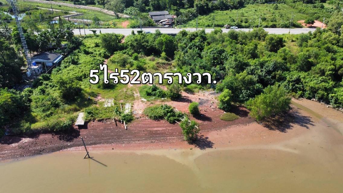 ขายที่ดินติดแม่น้ำตาปีในเมืองสุราษฎร์ธานี 9