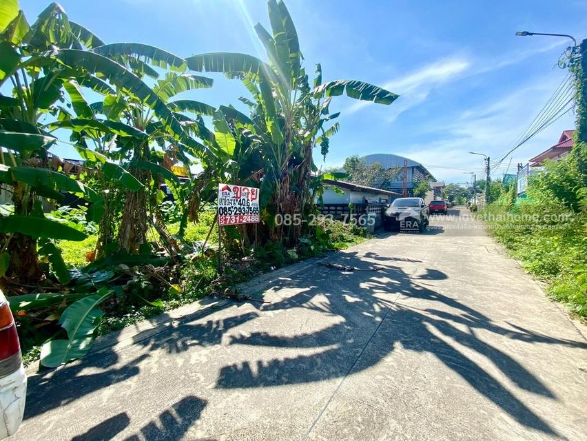 ขายที่ดิน ถนนสุขาภิบาล5 ซอย34 สายไหม แปลงสวย พื้นที่ 40.6 ตารางวา เข้าซอยเพียง 300 เมตร ใกล้จุดขึ้น-ลงทางด่วนสุขาภิบาล5 8