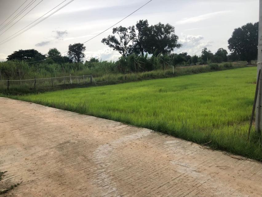 เจ้าของขายเอง ขายที่ดิน 5 ไร่กว่า ติดถนน น้ำ-ไฟ ถึง ห่างสถานีรถไฟ อำเภออุทุมพรพิสัย 5 กิโล เดินทางสะดวกมาก 2