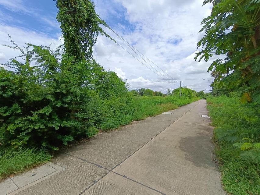 ที่ดินสุพรรณ ทำเลใจกลางเมืองหน้าแปลงติดถนน 2