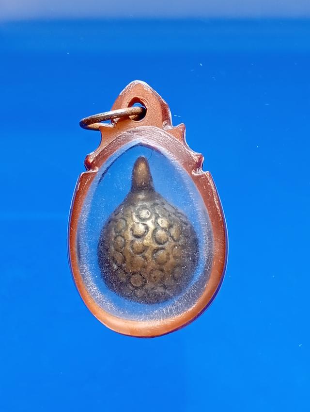 เต่าหลวงพ่อเงิน วัดบางคลาน