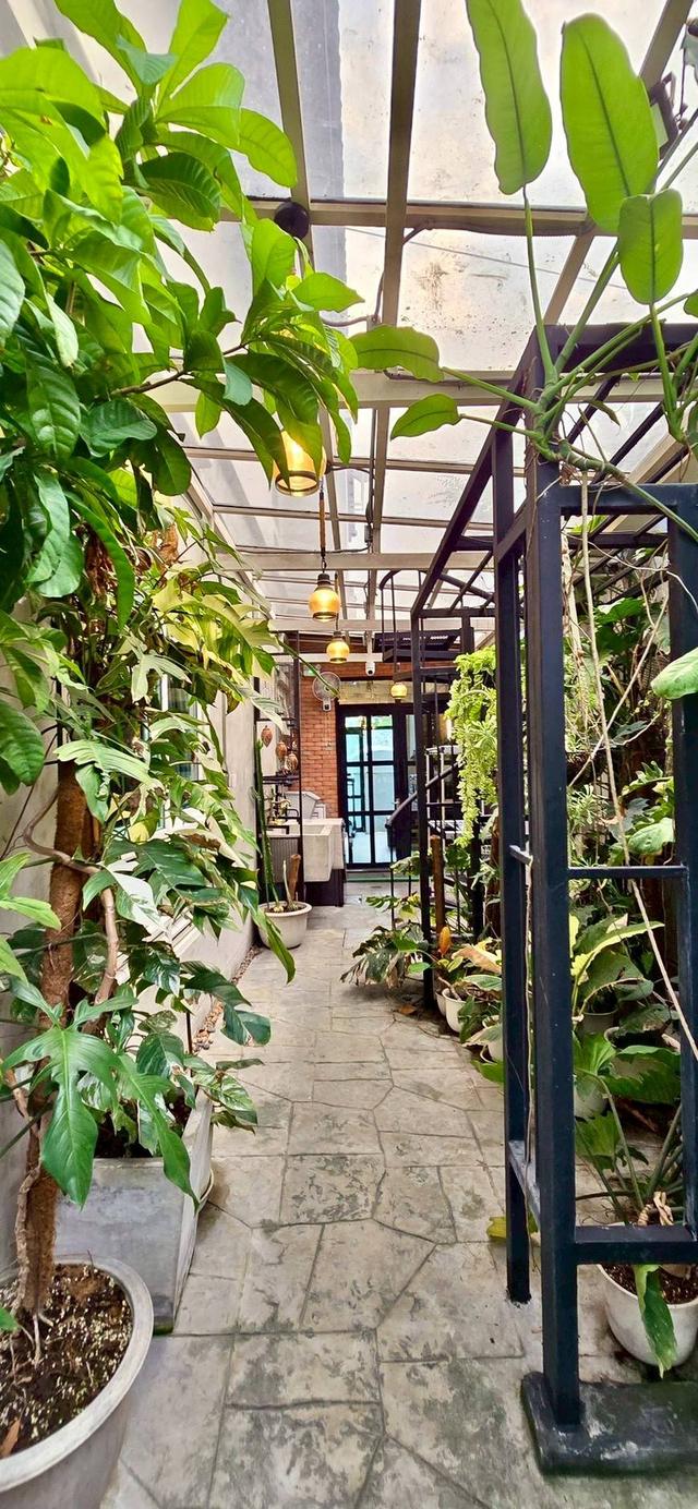 บ้านเดี่ยว มัณฑนา ร่มเกล้า ศรีนครินทร์ 6