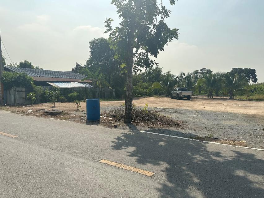 ขายที่ดิน 200 ตารางวา 2