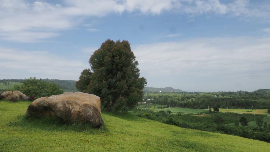 ขายที่ดินเขาใหญ่ บนเนินเขา *วิว360องศา ( ที่ดินจัดสรรฯ แบ่งแปลง )  อากาศบริสุทธิ์ (ราคาพิเศษ) เนื้อที่เริ่มต้น 300 ตารางวา  อ.ปากช่อง จ.นครราชสีมา 18