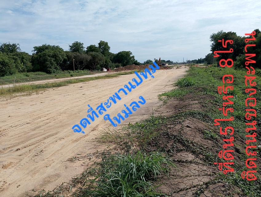 ขายที่ดินใกล้สะพานข้ามแม่น้ำใหม่สามโคก 3