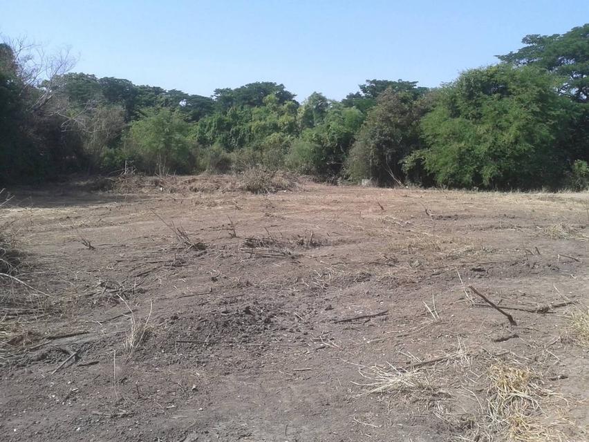 ที่ดินริมแม่น้ำป่าสัก จังหวัดสระบุรี 6