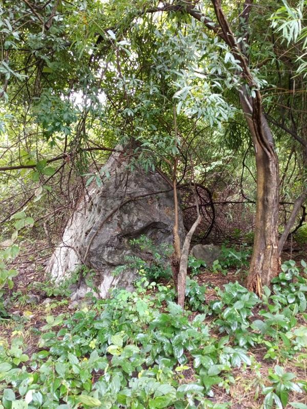 ขายด่วน! ที่ดินเปล่า ทำเลดี ใกล้เมืองนครสวรรค์ เนื้อที่ 160 ตร.ว. โทร 092-6869618 10