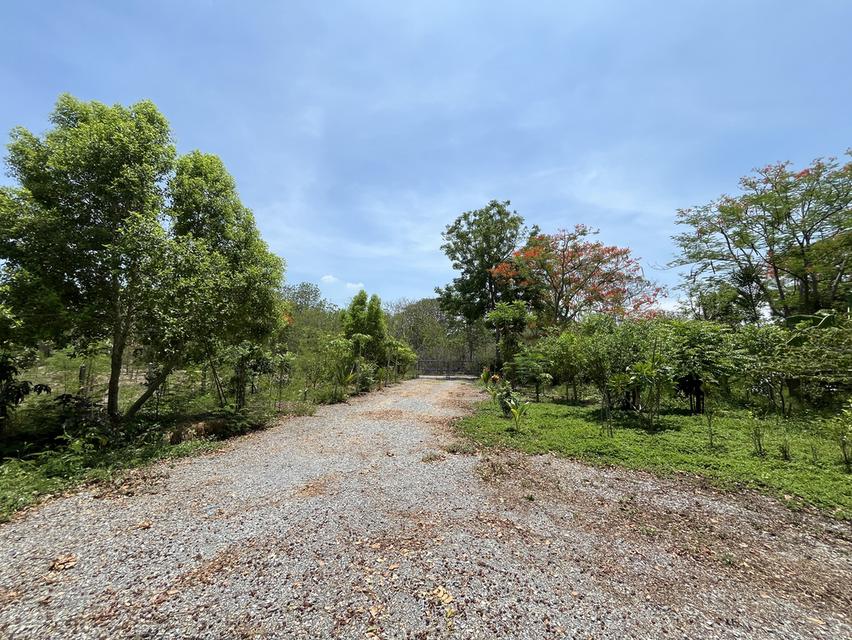 ขายที่ดินพร้อมสมาชิกกอล์ฟในบางไทรคันทรีคลับ 2