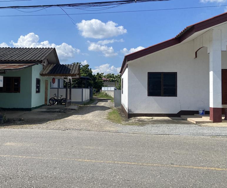 บ้านเดี่ยวพร้อมที่ดิน50ตรว. 9