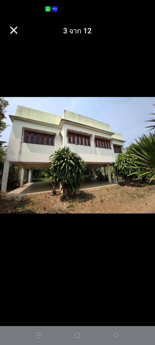 ขายที่ดิน120ไร่ พร้อมบ้าน จอมบึง ราชบุรี 8
