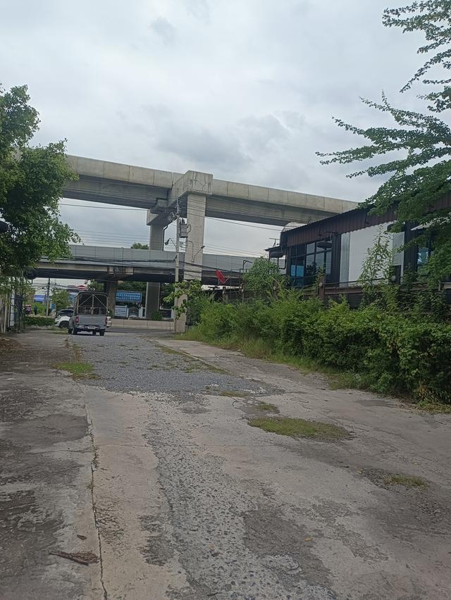 ขายด่วน ที่ดินติดรถไฟฟ้าย่านมีนบุรี รามคำแหง187/3 5