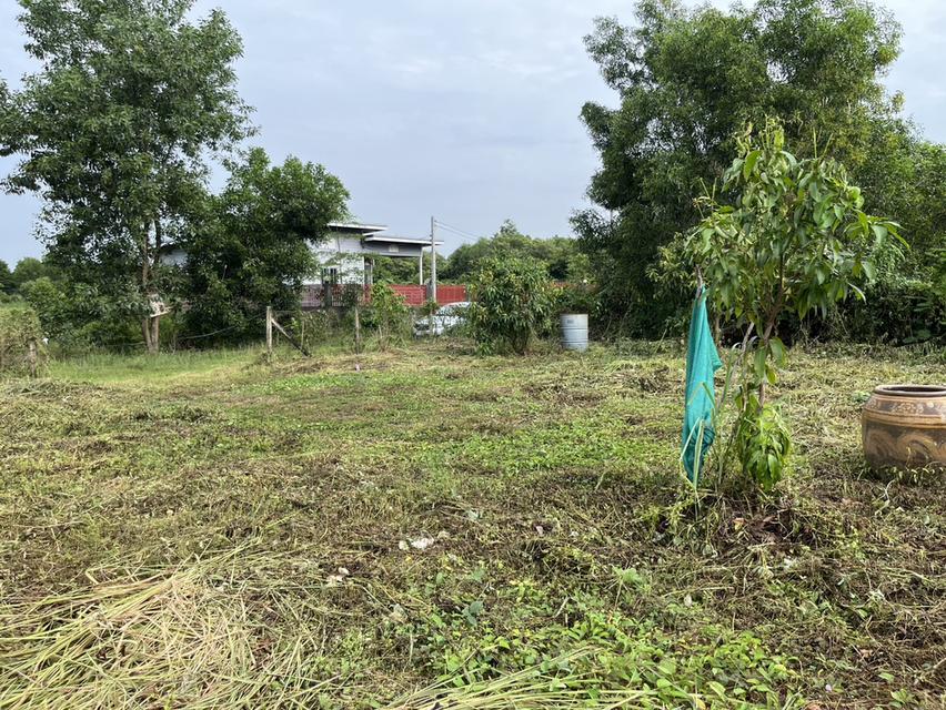 ขายที่ดิน 100 ตร.ว. ถมเต็มพื้นที่ โฉนดครุฑแดง ถนนสาธารณประโยชน์ ต.พรหมณี อ.เมืองนครนายก 18
