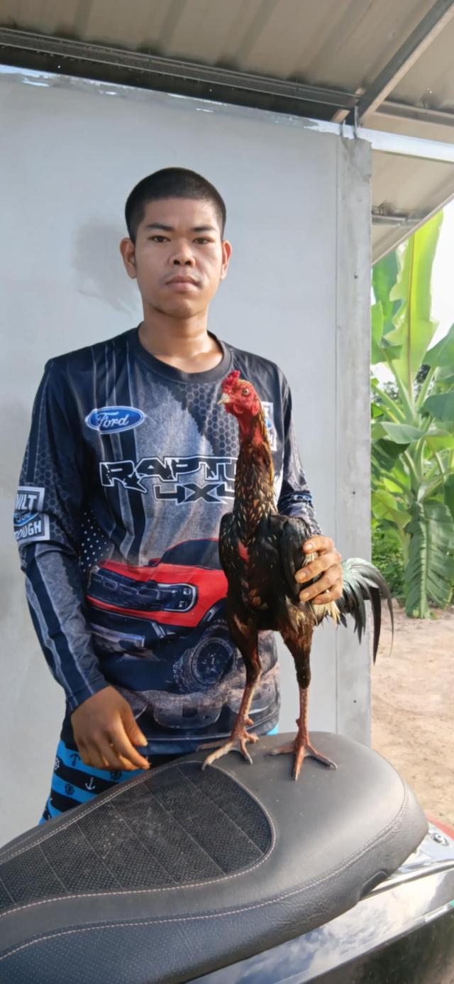 แสนกล+แดงหล่อมหานคร+เยียร์มูเซอร์ดำ