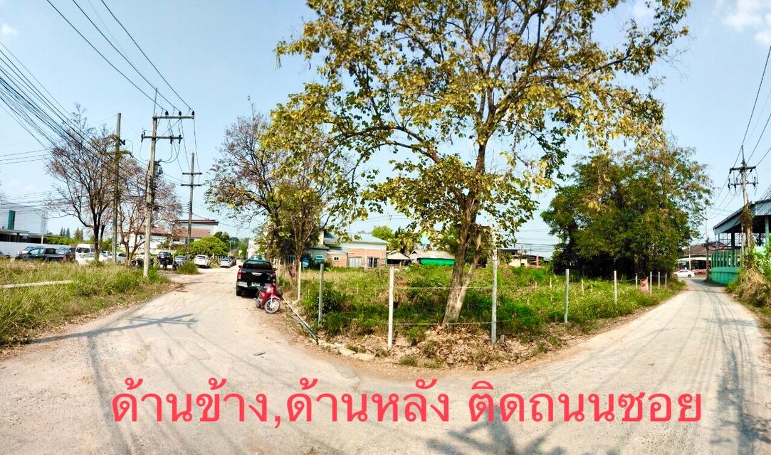 ลดๆราคา 🔥V า ย🔥 ที่ดินเปล่า  #วงแหวนรอบสอง(ถนนสมโภช700ปี)  305.6 ตร.วา  #เจ้าของขายเอง 2