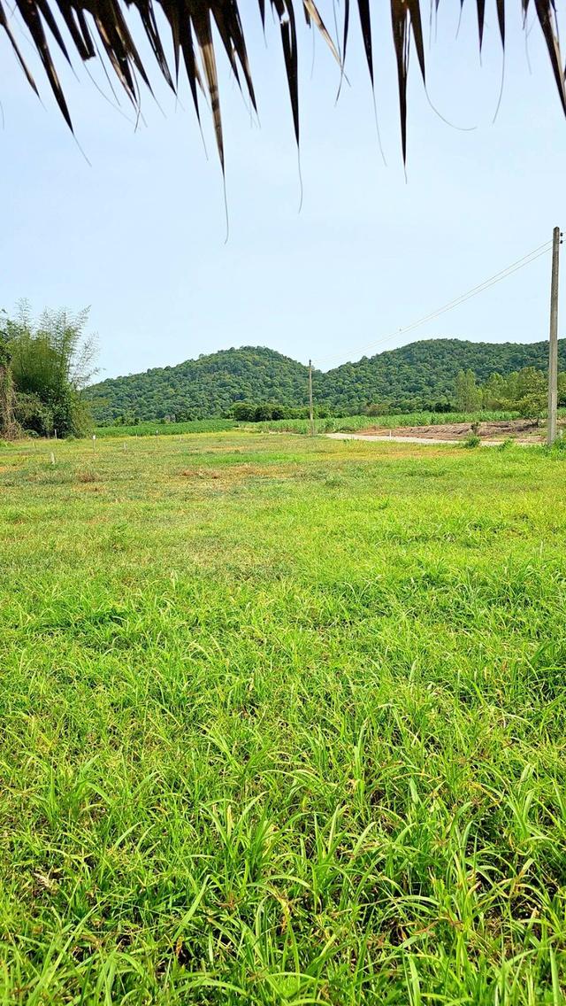 ที่ดินเขาขลุง บ้านโป่ง ราชบุรีผ่อนได้ 5
